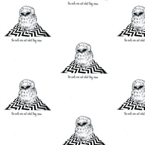 TWINPEAKSOWL