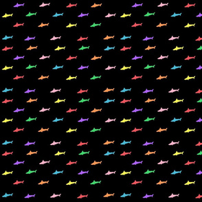 Rainbow Sharks (3)