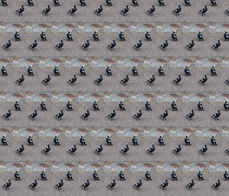 Rrrsinging_maggie_may_shop_preview