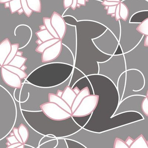 Kangaroo ...