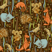 Aussie animal friends