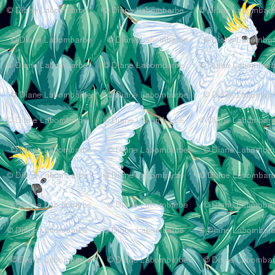 Sulphur Crested Cockatoo And Leaves