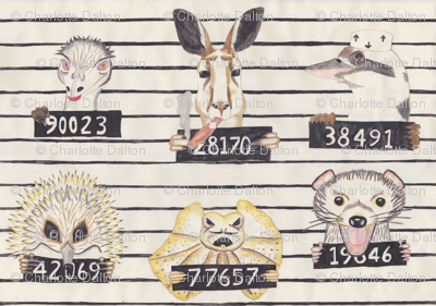 Australian Convicts