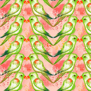 Lorikeets in Love