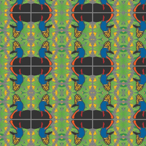 Cassowary's all around