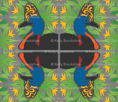 Cassowary's all around the yard