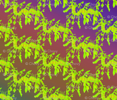 Mr. Leafy Seadragon