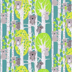 koalas in the trees