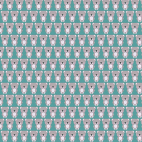 koala teal