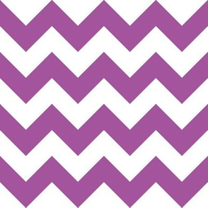 Zig Zag Chevron Plum