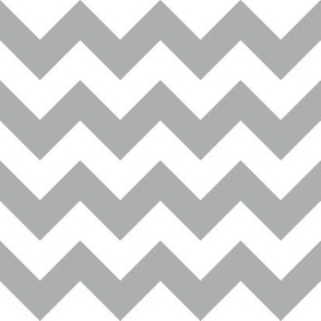 Zig Zag Chevron Silver
