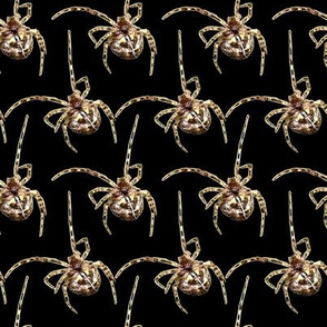 Spiders