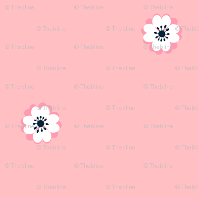 ranunculus_pink