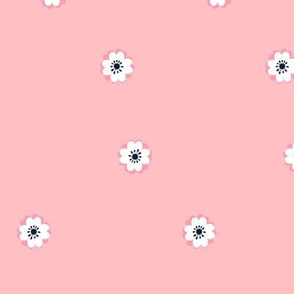 ranunculus_pink