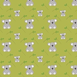 Koalas