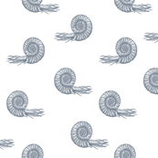 graycoll01
