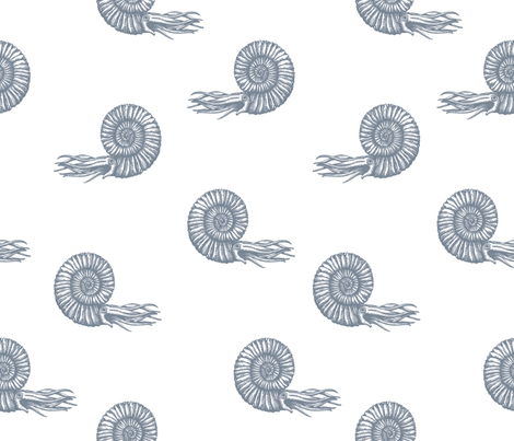 graycoll01