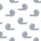 Rgraycoll01_shop_thumb