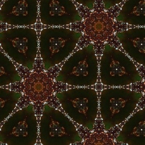 Macro Glittery Ornament Kaleidoscope