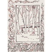 woods