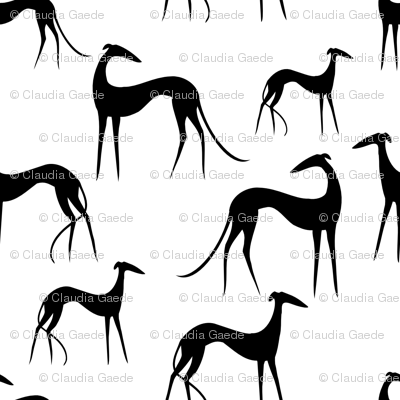Sighthounds black white