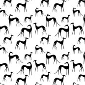 Galgotuch-schwarz2_shop_thumb