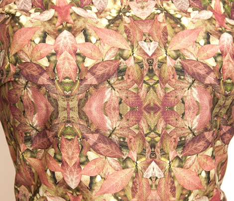 Burningbush5_comment_264059_preview