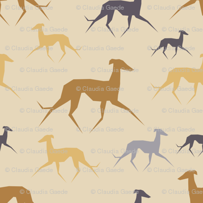 Italian Greyhound beige