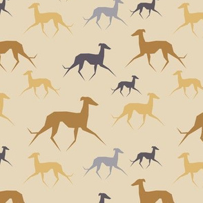 Italian Greyhound beige
