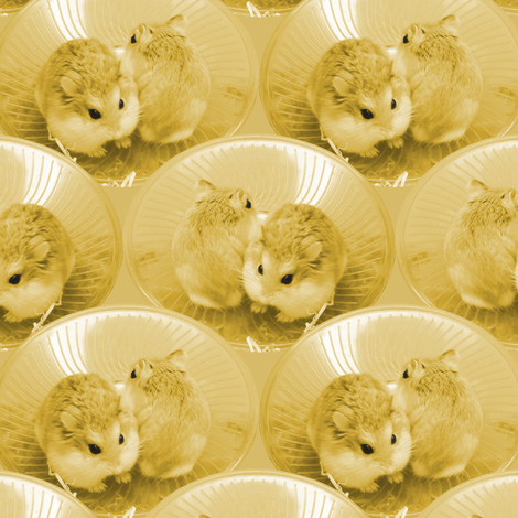 Hamsters