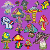 colorful mushrooms