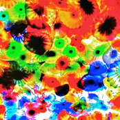 Dale Chihuly printed fabric 