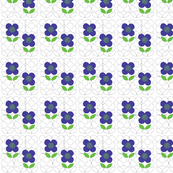 Cornflower