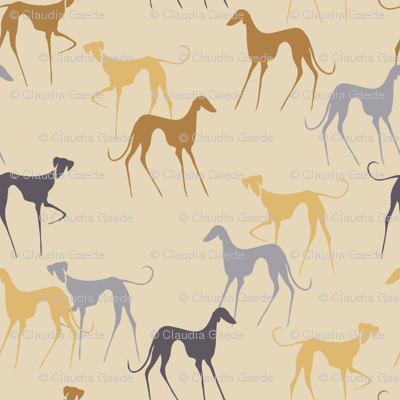 Azawakhs beige