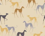 Azawakhs beige