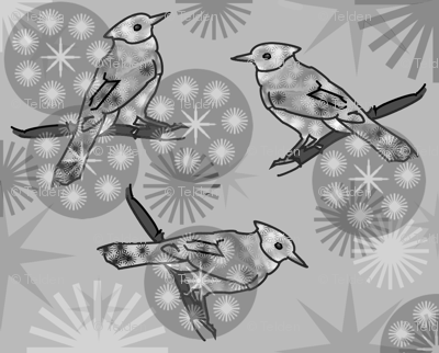 Bluejays - Grayscale