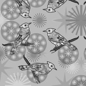 Rbluejay_grayscale_shop_thumb