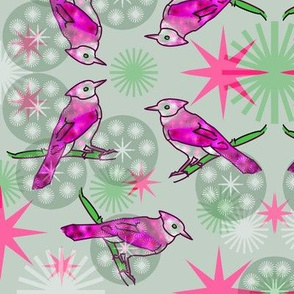 Pink Bluejays - Green