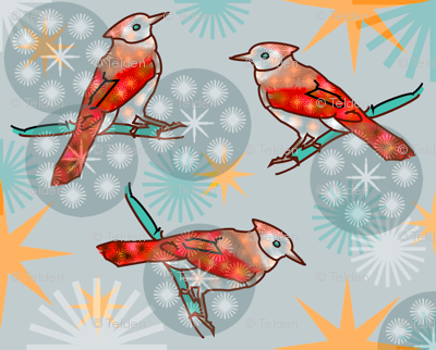 Orange Bluejay - Mint