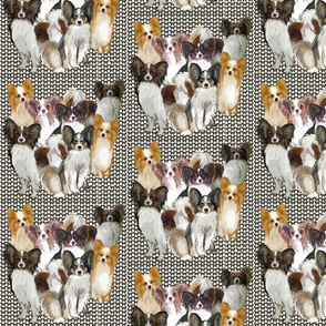 Papillon Group Fabric