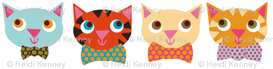 cat faces