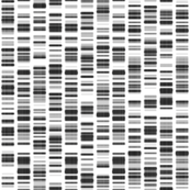 DNA Print