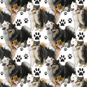 Finnish  Laphund dog fabric