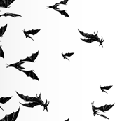 Night Hunters border