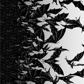 Night Hunters border