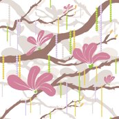 Rrmardimagnolia