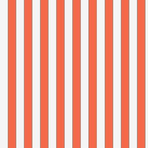 Orange then White Striped