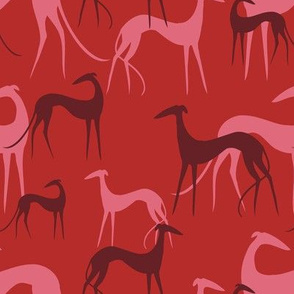 Sighthounds berries