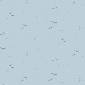 seagulls_9