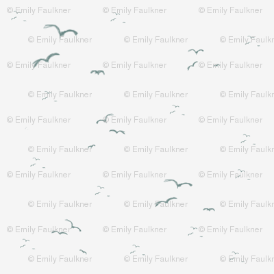 seagulls_10